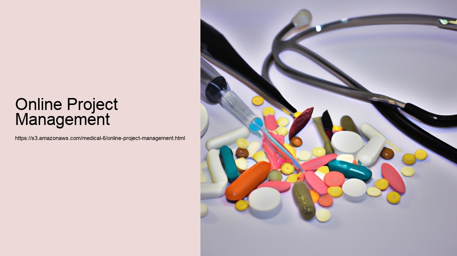 Online Project Management